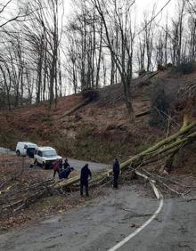 Imagen secundaria 2 - Carretera bloqueada por la caída de dos árboles en Artikutza. 