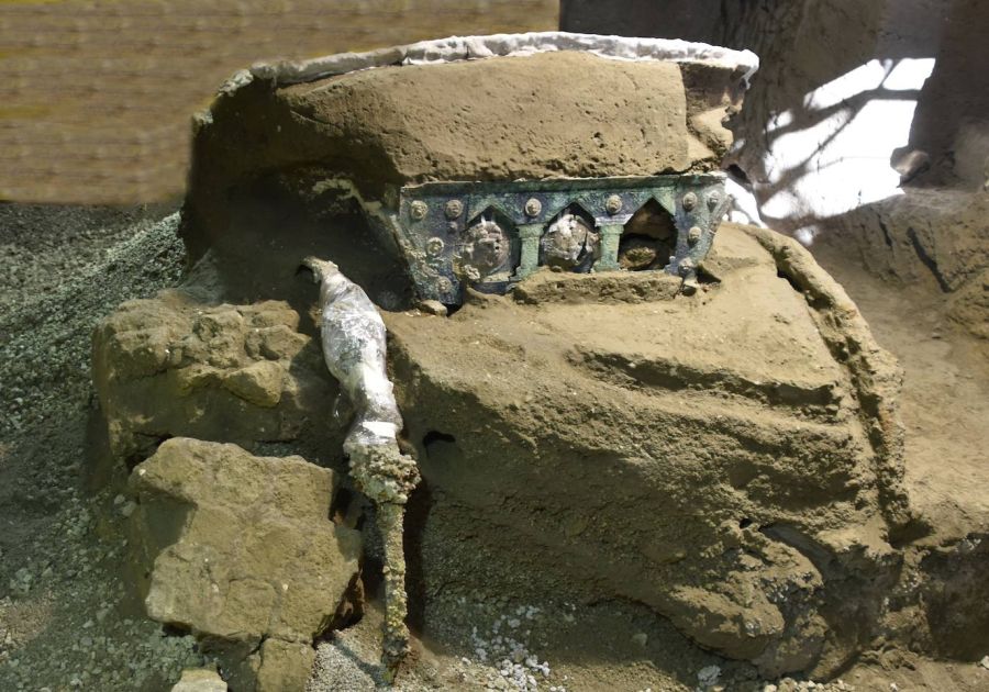 El parque arqueológico de Pompeya ha anunciado el descubrimiento de un gran carro para ceremonias, encontrado en excelente estado, a sólo unos cientos de metros al norte del famoso sitio cultural italiano.