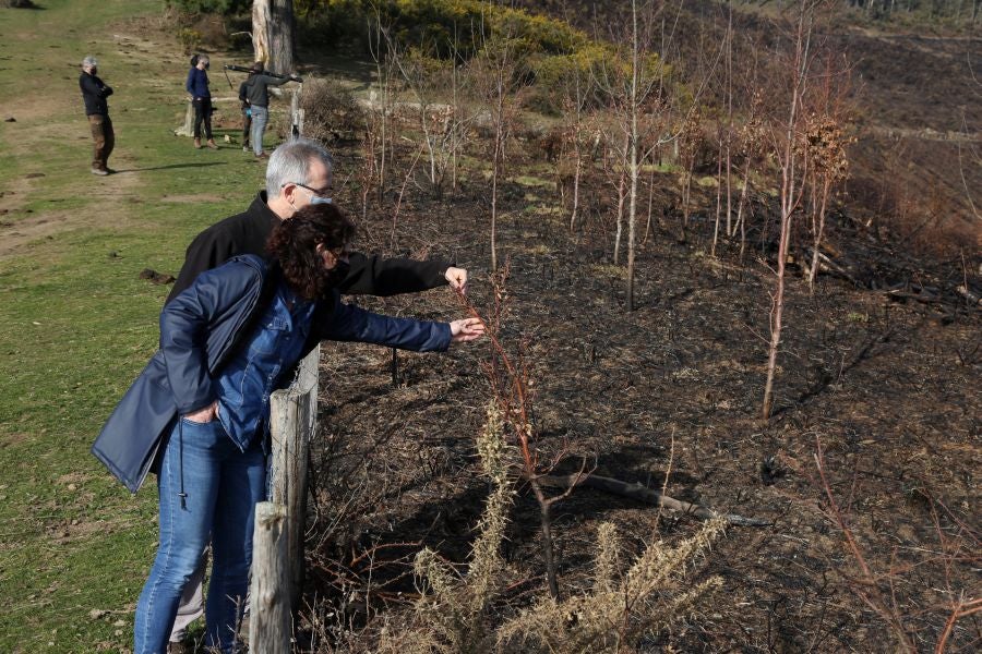 La Diputación de Gipuzkoa y el Ayuntamiento de Irun han hecho balance de los daños causados por el fuego de hace dos semanas