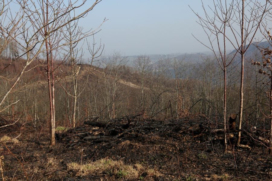 La Diputación de Gipuzkoa y el Ayuntamiento de Irun han hecho balance de los daños causados por el fuego de hace dos semanas