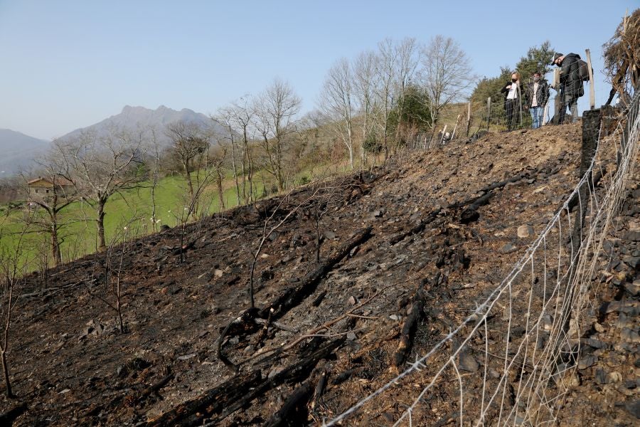 La Diputación de Gipuzkoa y el Ayuntamiento de Irun han hecho balance de los daños causados por el fuego de hace dos semanas