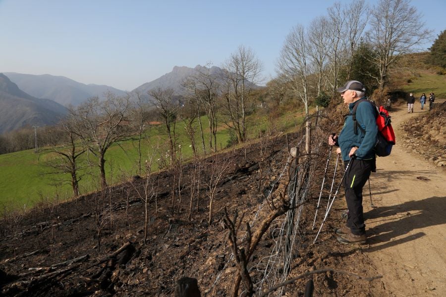 La Diputación de Gipuzkoa y el Ayuntamiento de Irun han hecho balance de los daños causados por el fuego de hace dos semanas