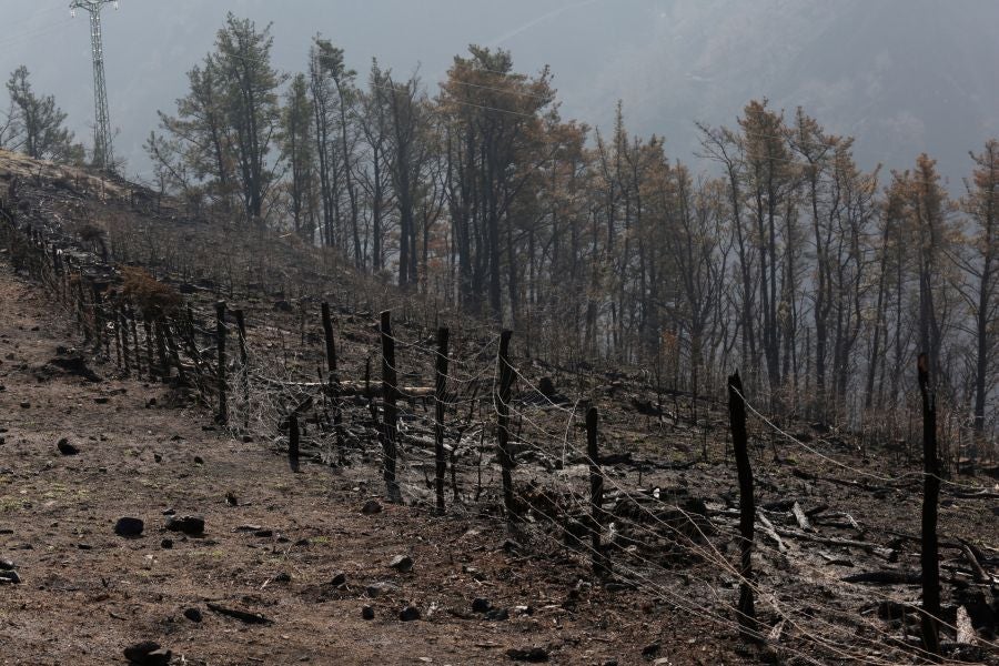 La Diputación de Gipuzkoa y el Ayuntamiento de Irun han hecho balance de los daños causados por el fuego de hace dos semanas