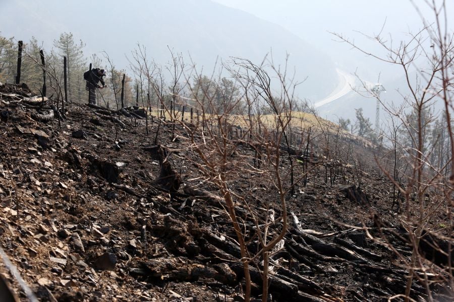 La Diputación de Gipuzkoa y el Ayuntamiento de Irun han hecho balance de los daños causados por el fuego de hace dos semanas