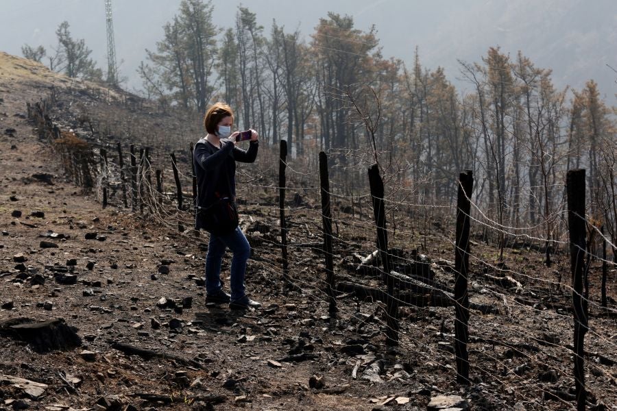 La Diputación de Gipuzkoa y el Ayuntamiento de Irun han hecho balance de los daños causados por el fuego de hace dos semanas