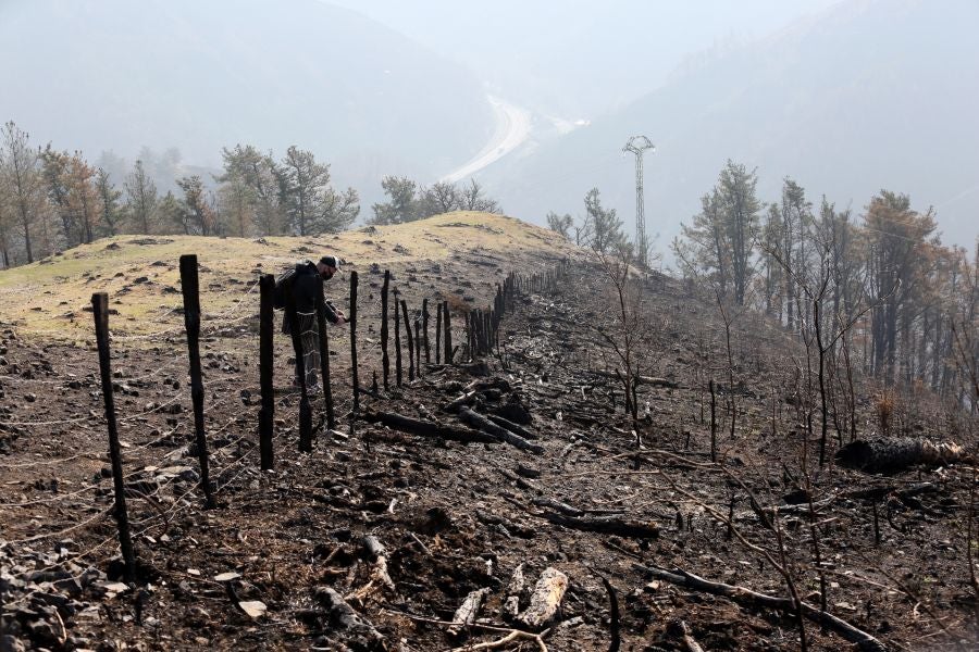 La Diputación de Gipuzkoa y el Ayuntamiento de Irun han hecho balance de los daños causados por el fuego de hace dos semanas