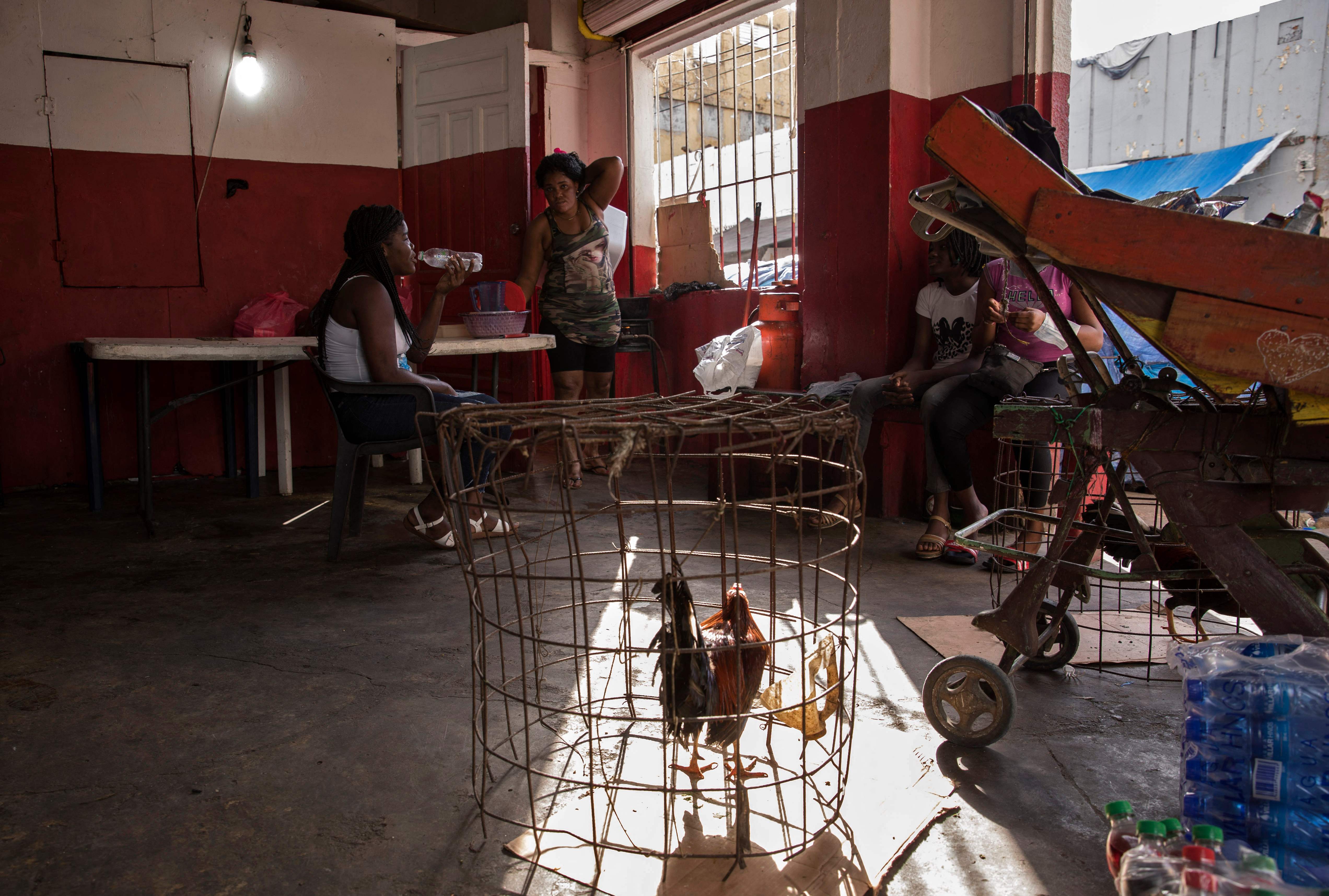 Amenazan con levantar un muro entre la República Dominicana y Haití. 