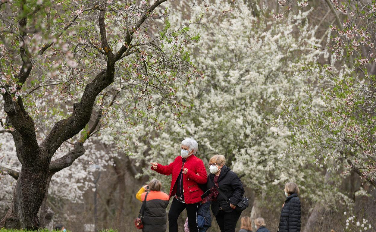 La llegada de la primavera puede aliviar la pesada carga de un año marcado por el Covid. 