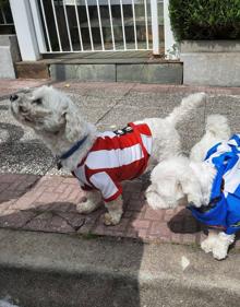 Imagen secundaria 2 - Directo | Exlosión de alegría en todo Gipuzkoa