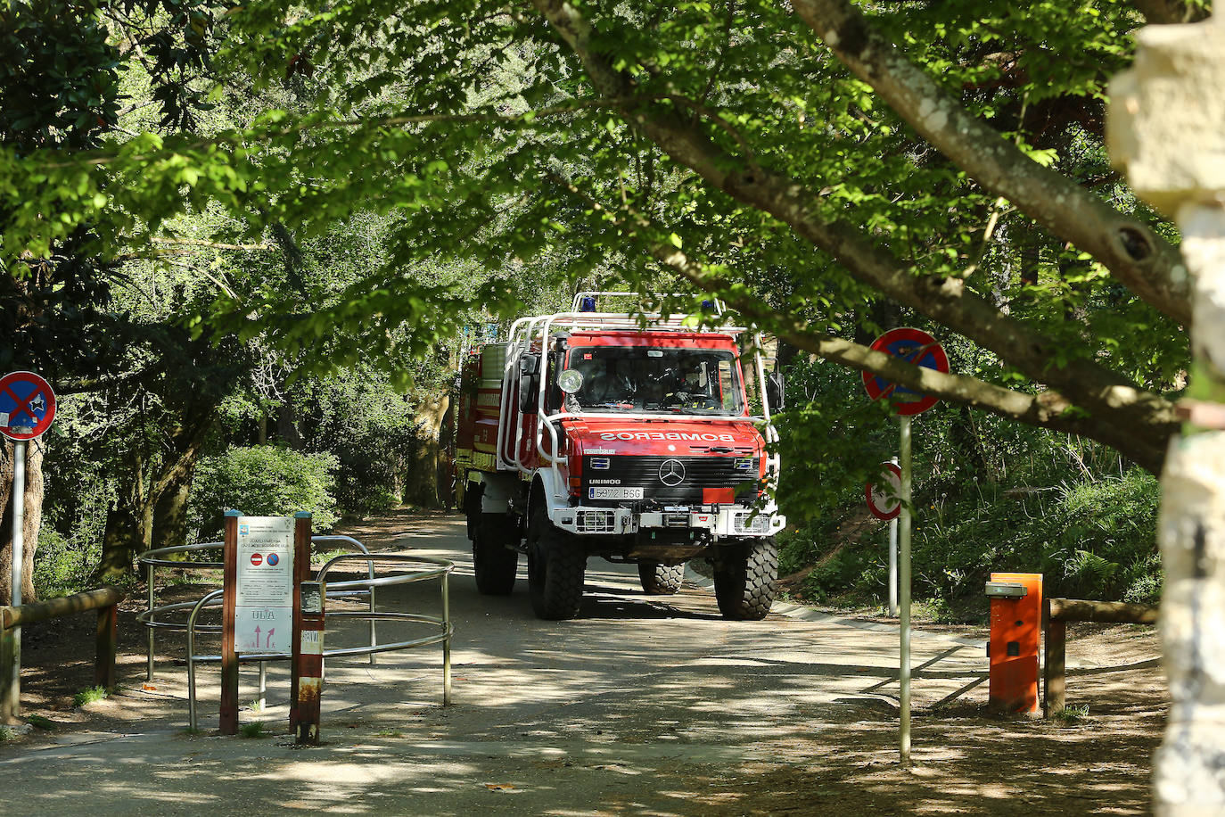 Fotos: Extinguido el incendio registrado esta madrugada en una zona forestal de Ulia