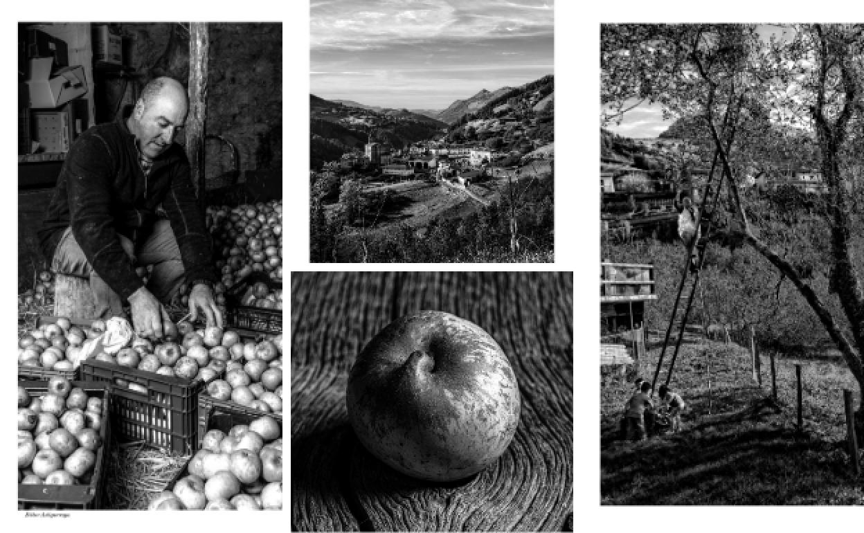 Bittor Astigarraga mete las manzanas en cajas en una de las muchas fotografías de Joseba Urretavizcaya que ilustran el libro.