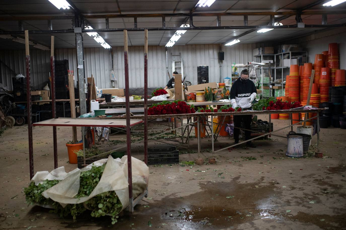 Fotos: Millones de rosas para Sant Jordi