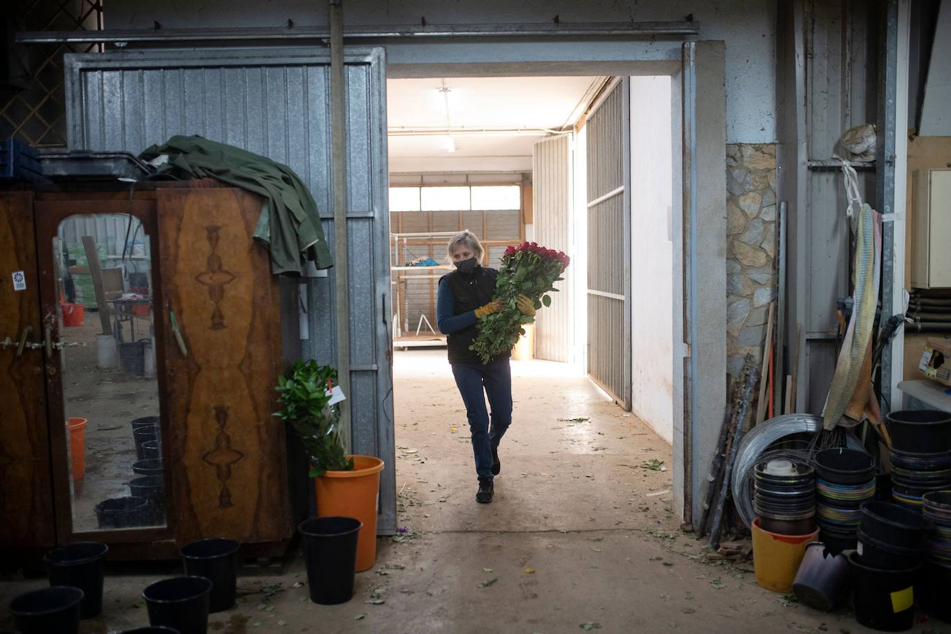 Fotos: Millones de rosas para Sant Jordi
