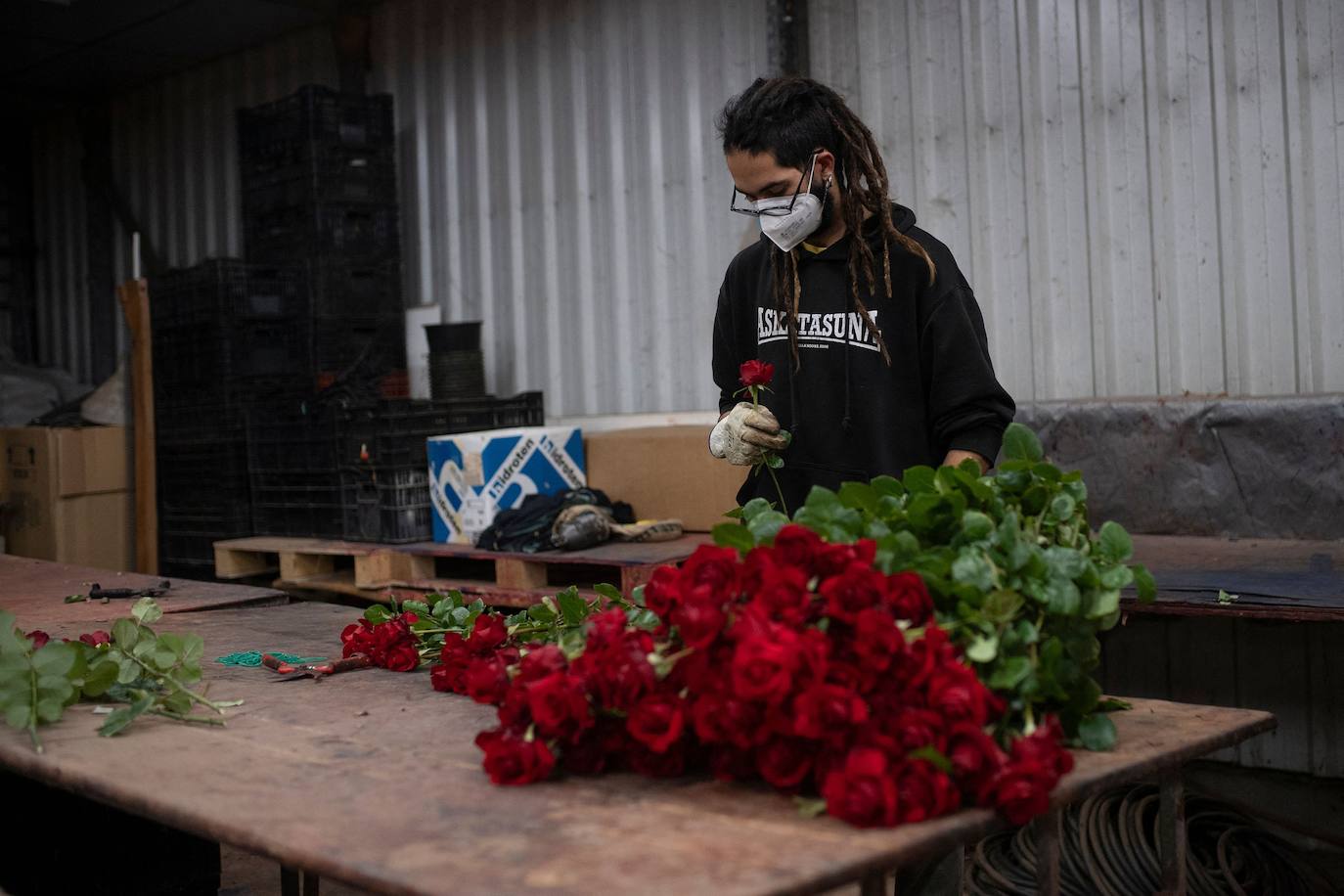 Fotos: Millones de rosas para Sant Jordi