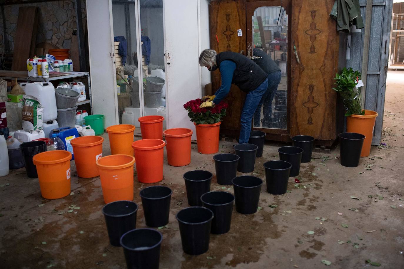 Fotos: Millones de rosas para Sant Jordi