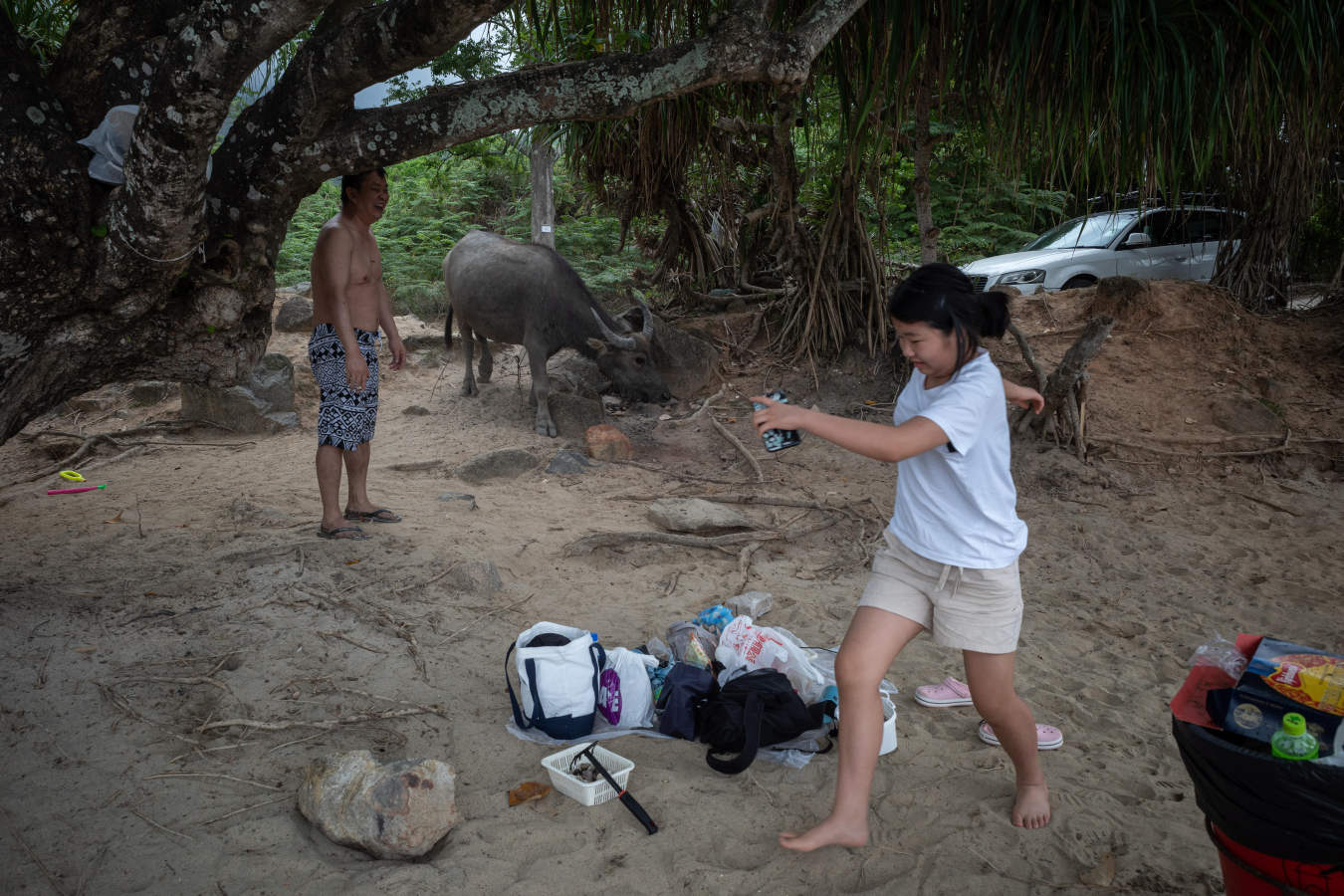Los búfalos de agua cercan la playa