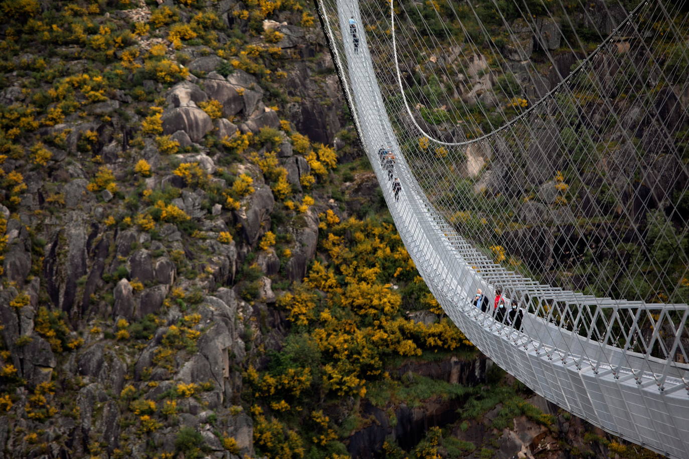 Portugal inauguró este jueves 29 de abril el puente peatonal suspendido más largo del mundo, a 175 metros sobre el río Paiva, en el norte, y que con sus 516 metros supera el récord establecido en 2017 por la pasarela Charles Kuonen de los Alpes suizos. El puente atraviesa un barranco granítico del municipio de Arouca y está formado por 127 planchas de rejilla con barandillas metálicas de 1,20 metros de ancho, sujetas por cables de acero a unos pilares en forma de 'V' situados a cada extremo.