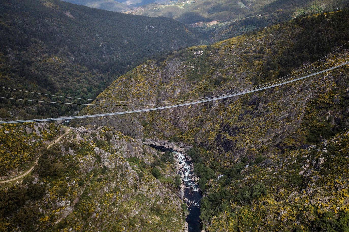 Portugal inauguró este jueves 29 de abril el puente peatonal suspendido más largo del mundo, a 175 metros sobre el río Paiva, en el norte, y que con sus 516 metros supera el récord establecido en 2017 por la pasarela Charles Kuonen de los Alpes suizos. El puente atraviesa un barranco granítico del municipio de Arouca y está formado por 127 planchas de rejilla con barandillas metálicas de 1,20 metros de ancho, sujetas por cables de acero a unos pilares en forma de 'V' situados a cada extremo.