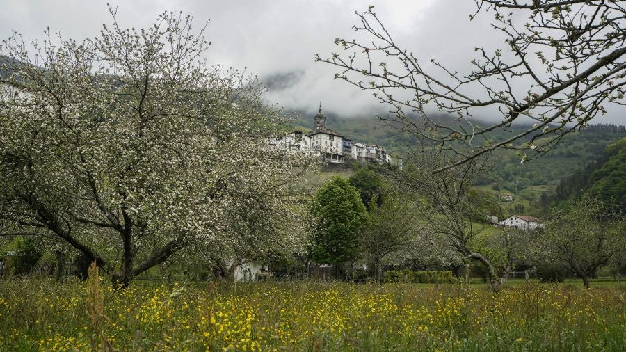 El mes de las flores convierte a Errezil, la localidad que se sitúa a los pies del monte Hernio, en el 'Jerte guipuzcoano' gracias a los miles de manzanos que se reparten por sus terrenos bajos. En este precioso rincón de Urola Costa, estos días el blancos de las flores de sus manzanos se mezcla con algunos tonos rosas, incluso fucsias en las abundantes flores que pueblan las ramas de árboles de extrañas formas.