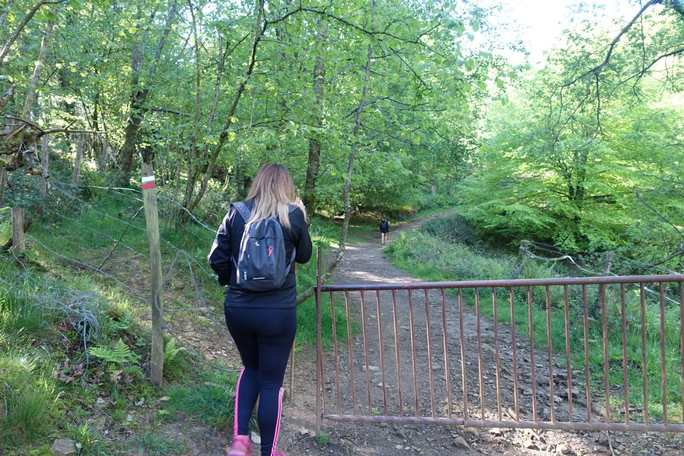Cima discreta que se mantiene a la sombra de Hernio, entre el mar, el camino de Santiago y la venta en que descansó el gran patrón