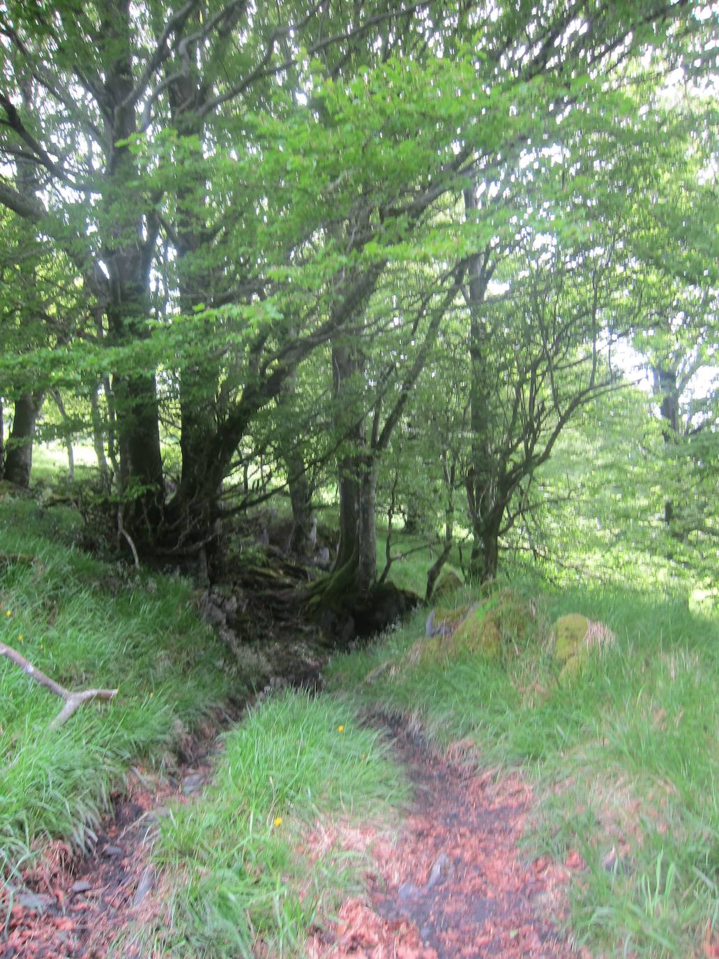 Fotos: Ascenso a Ireber (Navarra)