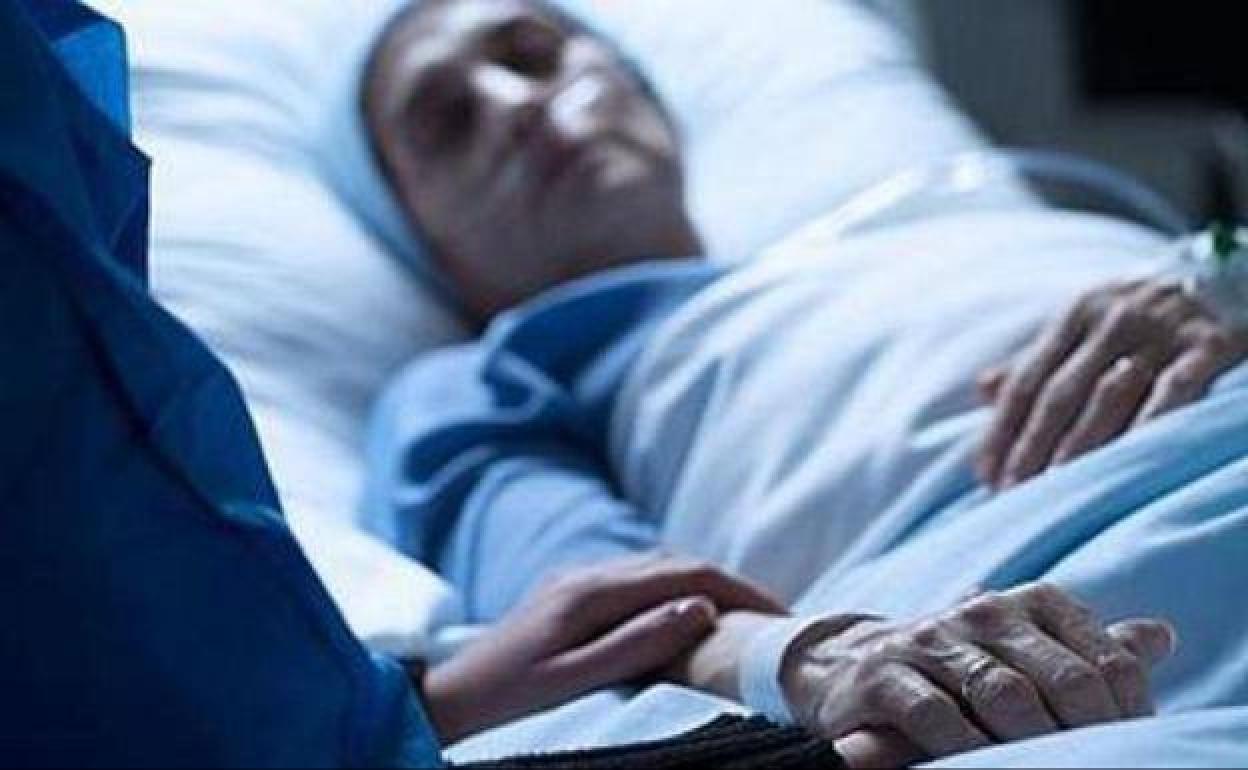 Ley de eutanasia | Osakidetza responde: ¿En qué casos puede solicitarse? ¿Quién lo autoriza?