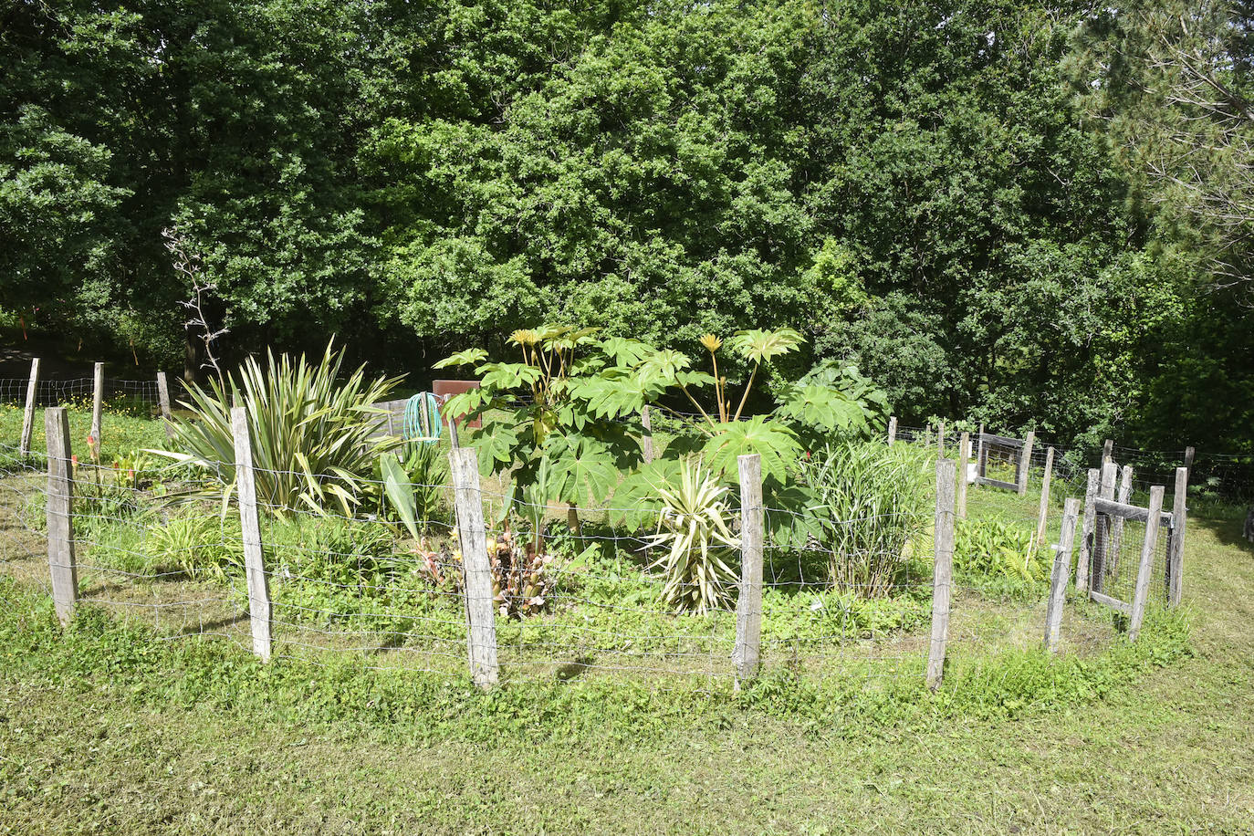 La jornada de los museos en Ur Mara, el espacio de Koldobika Jauregi que une en Alkiza naturaleza, pensamiento y arte, como un Chillida Leku silvestre.