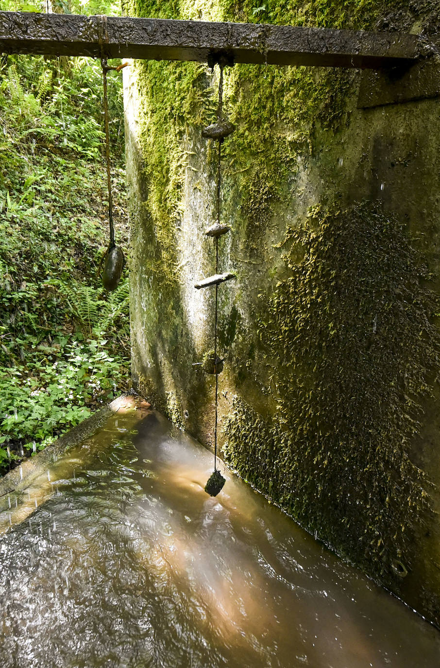 La jornada de los museos en Ur Mara, el espacio de Koldobika Jauregi que une en Alkiza naturaleza, pensamiento y arte, como un Chillida Leku silvestre.