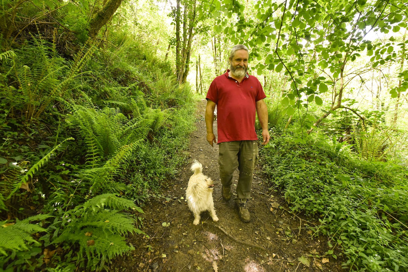 La jornada de los museos en Ur Mara, el espacio de Koldobika Jauregi que une en Alkiza naturaleza, pensamiento y arte, como un Chillida Leku silvestre.
