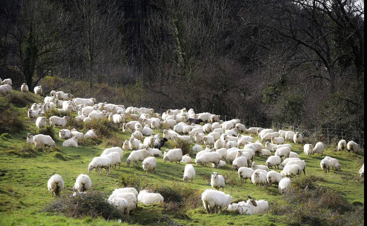 Polémica Aralar: La Justicia da «carpetazo» y archiva las denuncias contra las pistas de Aralar