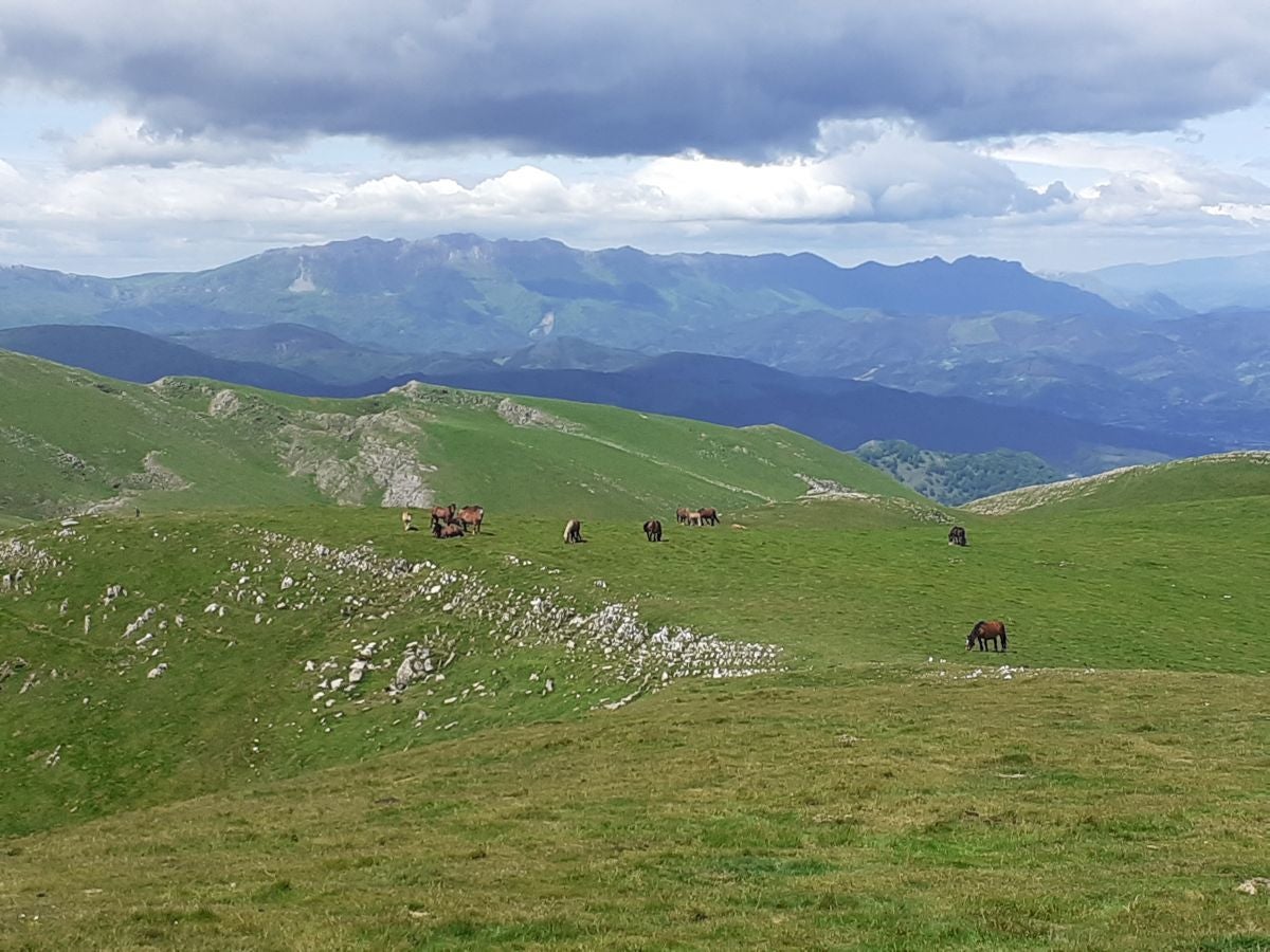 Ganboa, una joya bien custodiada