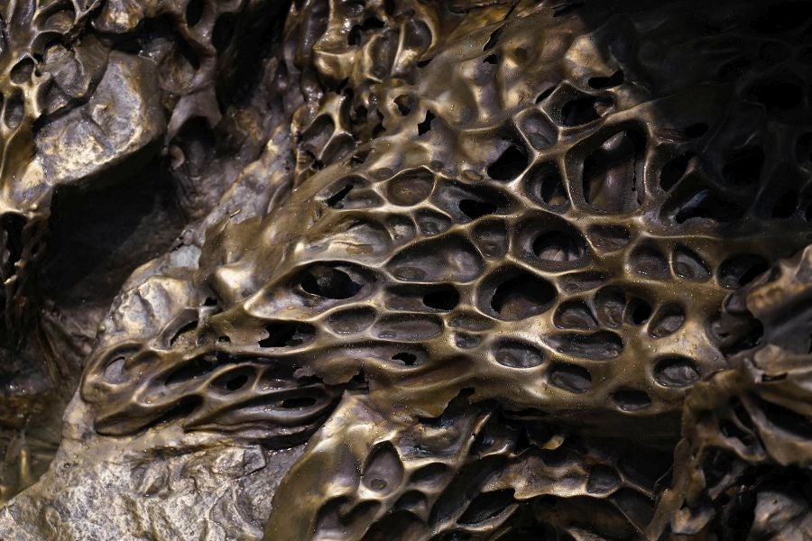 Fotos de Hondalea, la obra de Cristina Iglesias en la isla Santa Clara