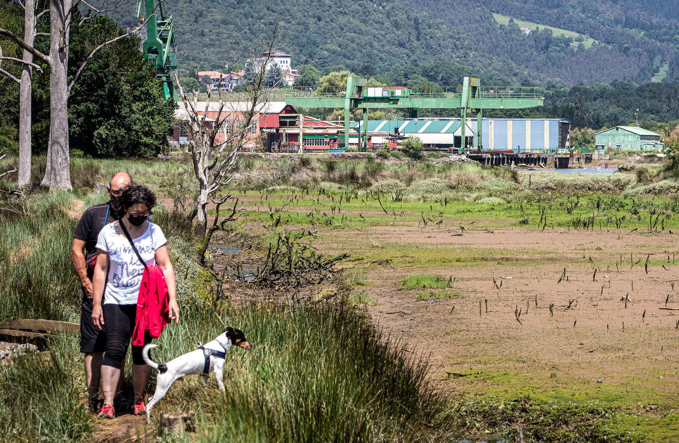 Fotos: El Guggenheim de Urdaibai