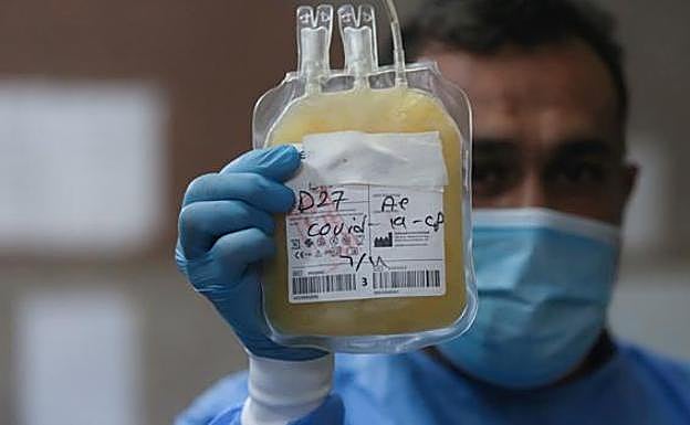 Euskadi cuenta con 2.500 dosis de plasma con alta calidad de anticuerpos para tratar a enfermos de Covid-19