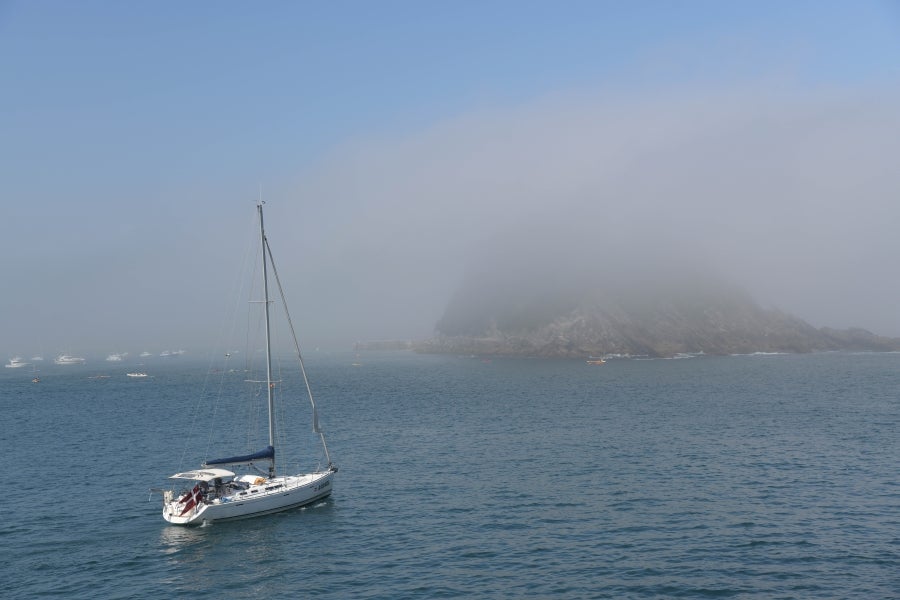 La Ama Guadalupekoa de Hondarribia y Arraun Lagunak se han impuesto este domingo en el Campeonato de Gipuzkoa de Traineras. 