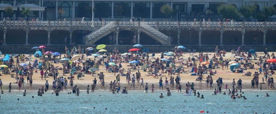 La Ama Guadalupekoa de Hondarribia y Arraun Lagunak se han impuesto este domingo en el Campeonato de Gipuzkoa de Traineras. 