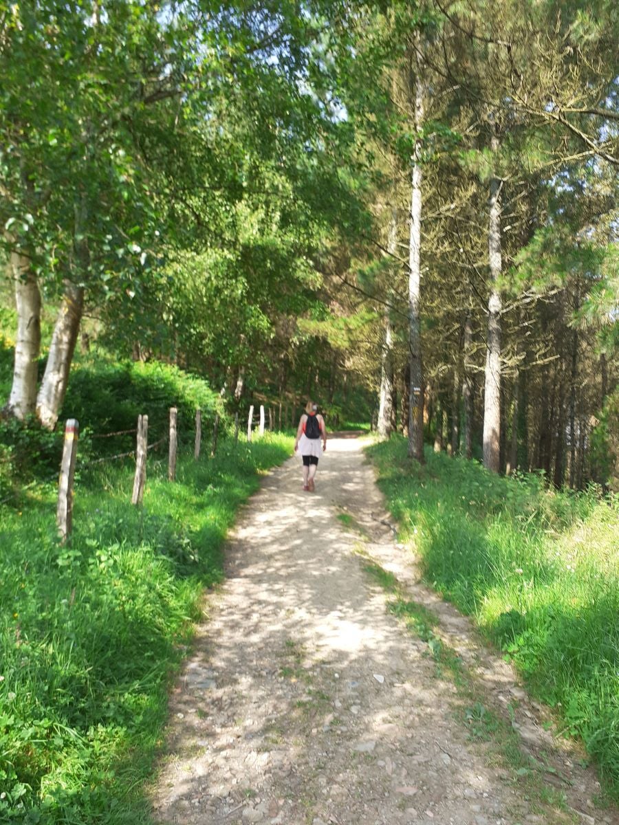 Discreta cumbre desde la que se contempla la fuerza del mar que a lo largo de millones de años ha esculpido nuestra costa, dejando al descubierto grandes tesoros fósiles