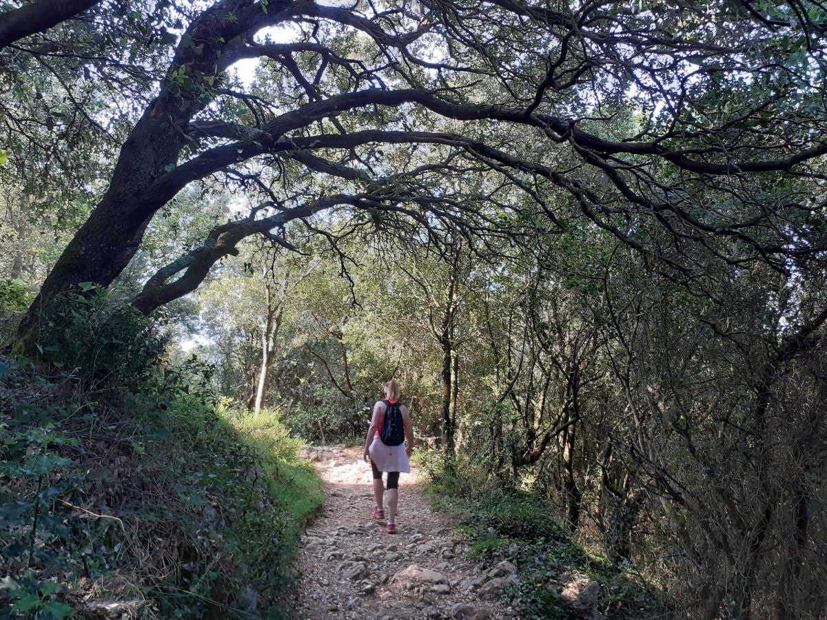 Discreta cumbre desde la que se contempla la fuerza del mar que a lo largo de millones de años ha esculpido nuestra costa, dejando al descubierto grandes tesoros fósiles