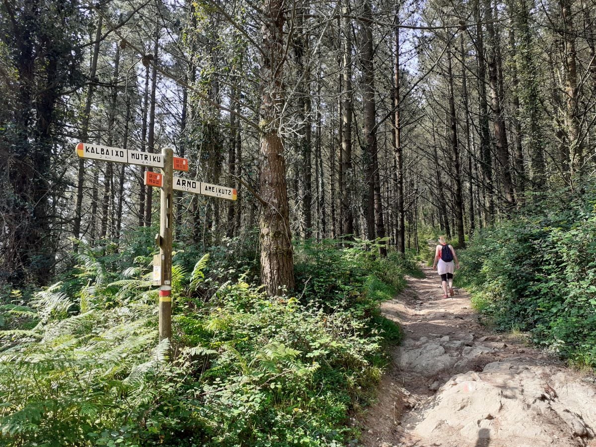 Discreta cumbre desde la que se contempla la fuerza del mar que a lo largo de millones de años ha esculpido nuestra costa, dejando al descubierto grandes tesoros fósiles