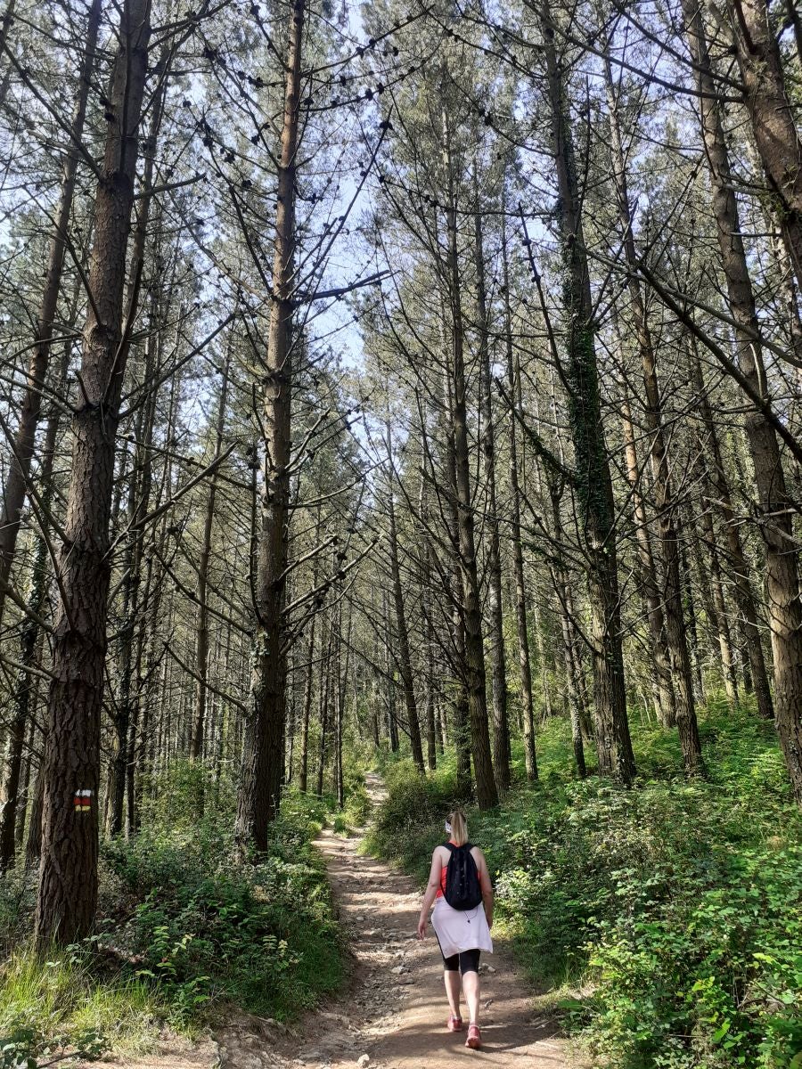 Discreta cumbre desde la que se contempla la fuerza del mar que a lo largo de millones de años ha esculpido nuestra costa, dejando al descubierto grandes tesoros fósiles