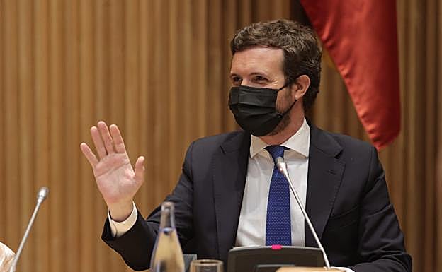 El Presidente del PP, Pablo Casado.