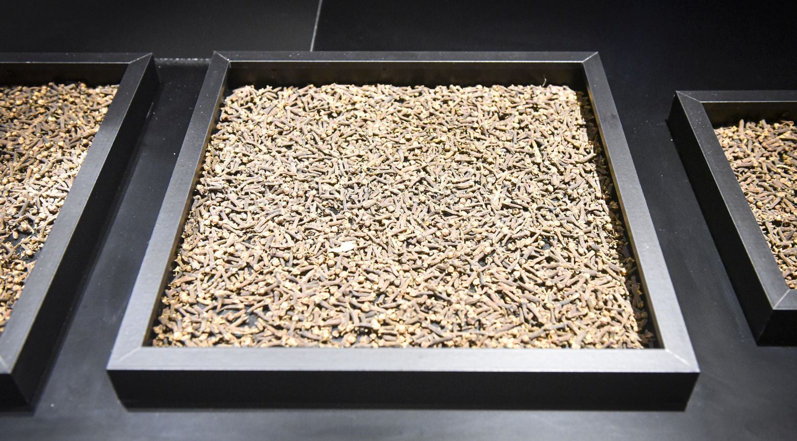 El museo donostiarra acoge una magna exposición sobre la primera vuelta al mundo que reúne audiovisuales y documentos de época, en un homenaje al espíritu aventurero y explorador del ser humano