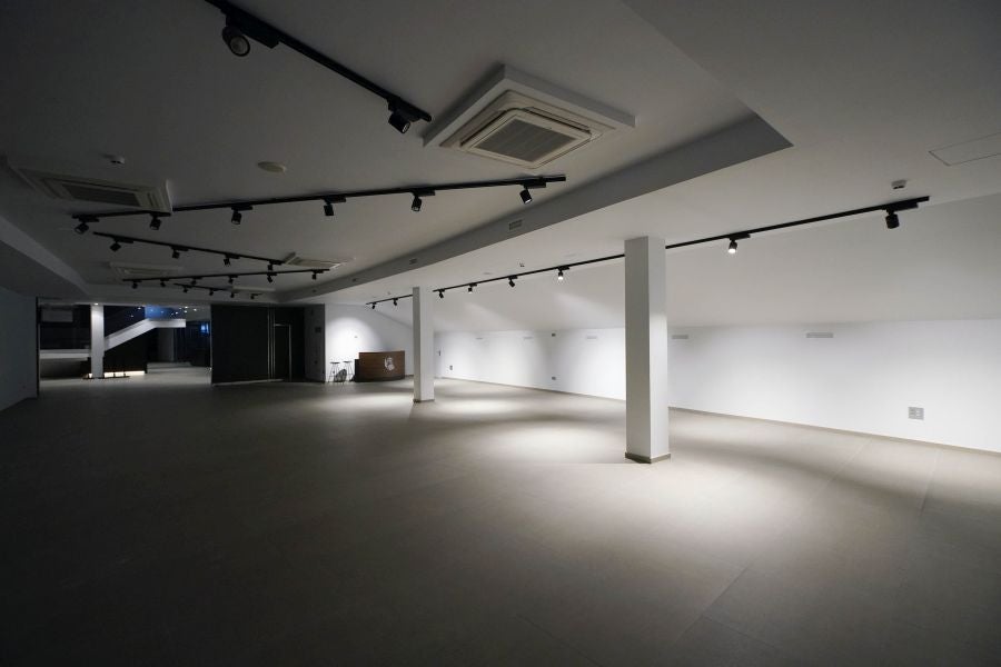 Fotos: Avanzan las obras en el Reale Arena