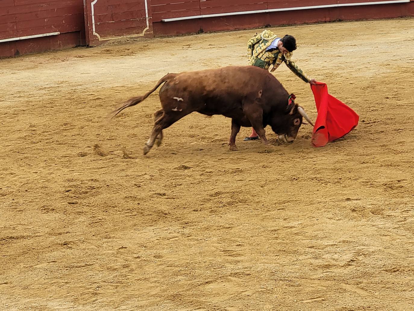 Tomás Rufo torea al natural al toro al que cortó las dos orejas.