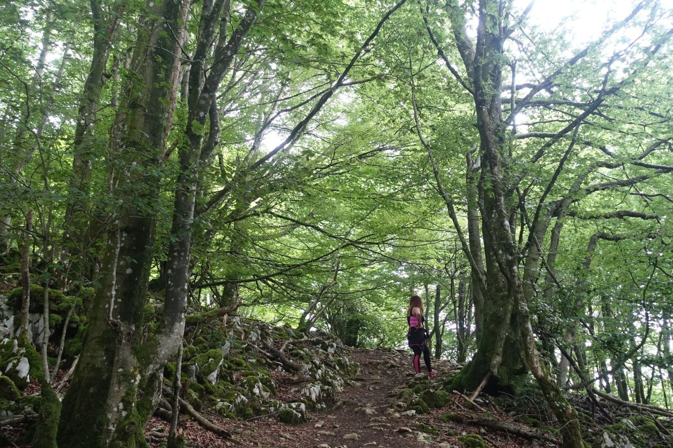 Sus 801 metros de altitud no le hacen uno de los montes más destacables, pero su peculiar cima lo convierte en uno de los que hay que conocer