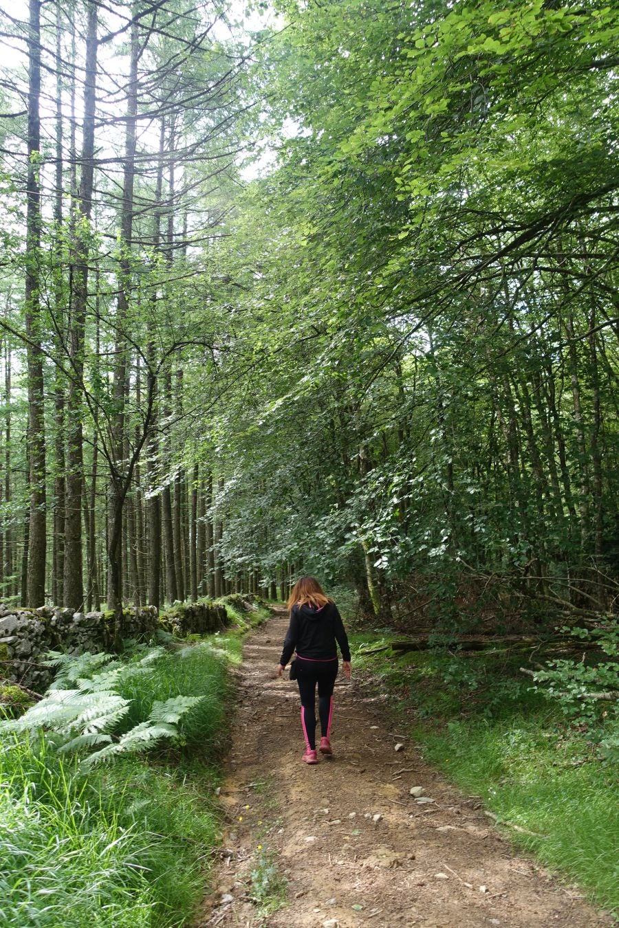 Sus 801 metros de altitud no le hacen uno de los montes más destacables, pero su peculiar cima lo convierte en uno de los que hay que conocer