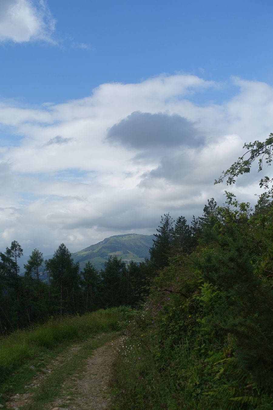 Sus 801 metros de altitud no le hacen uno de los montes más destacables, pero su peculiar cima lo convierte en uno de los que hay que conocer