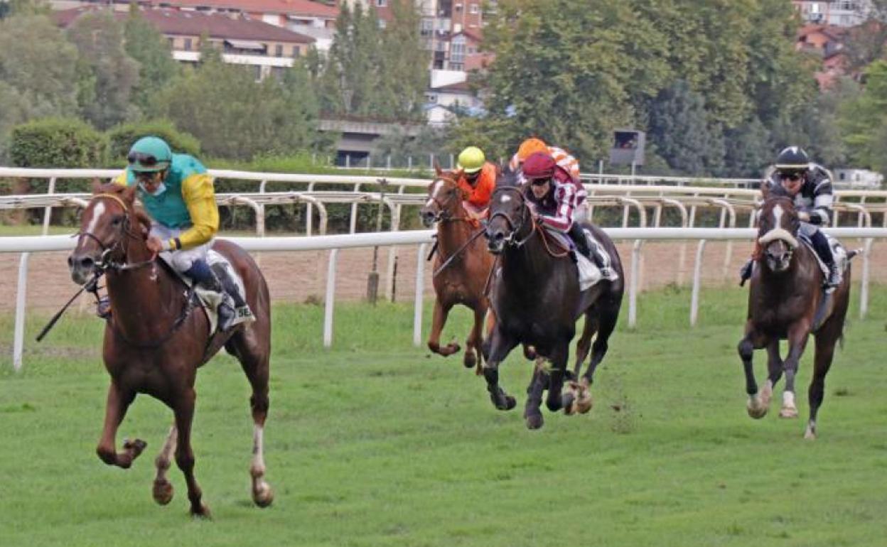 'Salar Island', el año pasado.