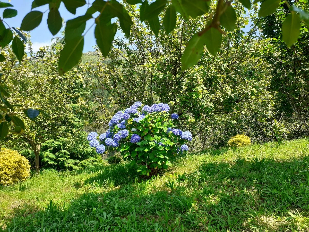 Esta sencilla cima, presidida por una cruz y que cuenta con dos buzones, nos sorprende con su preciosas vistar al Cantábrico