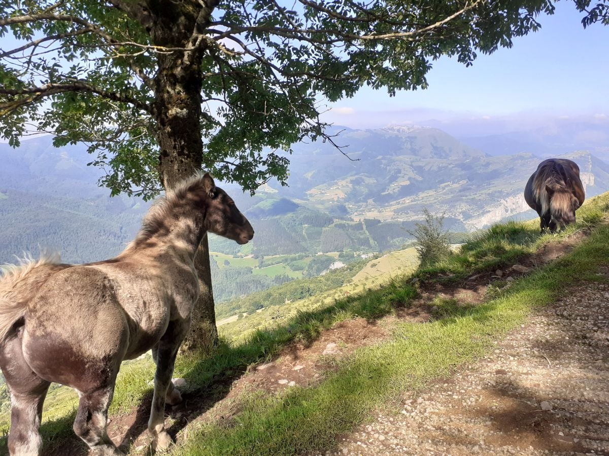 La cima más popular de la sierra de Aloña ofrece una magníficas vistas del Alto Deba y los montes que le rodean